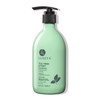Luseta Tea Tree Mint Shampoo Cleansing and Soothing for All Hair Types Nourishing Invigorating Scalp Fights Dandruff 169
