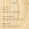 Rahua Classic Hair Conditioner Vegan Hydrating Hair Care Oil Quinoa Organic Aloe Vera Rosemary Natural Palo Santo for Sc