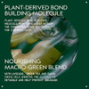 Aveda Botanical Repair Strengthening Conditioner Instantly Detangles to Prevent Breakage Strengthens Repairs Damaged Hai