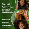 Herbal Essences Argan Oil Paraben Free Conditioner Hair Repair 202 fl oz with Certified Camellia Oil and Aloe Vera For A