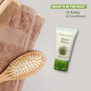 Travel Size Hotel Conditioner 20 Count 1 oz Bottles Guest Amenities for Vacation Rentals and Short Term Rentals Paraben
