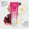 Colorful AntiFade Conditioner For ColorTreated Hair Preserve Hair Color Vibrancy Boost Shine Reduce Breakage Sulfate Fre