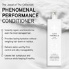 ILES FORMULA Conditioner for Dry Damaged Color Treated Hair Deeply Moisturizing Hydrating Hair Repair AntiFrizz Silicone