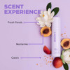 FABME LeaveIn Conditioner Spray by DesignMe Adds Shine Detangles Frizz Control UV Heat Protection Color Safe Reduces Bre