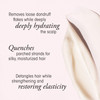 ORIBE Serene Scalp Balancing Conditioner Soothing Conditioner Removes Dandruff Flakes Hydrates Calms and Restores Balanc