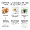 ZENAGEN Revolve Conditioner Unisex Supports Scalp Health Appearance of Fuller Healthier Hair Developed for Fine Visibly