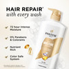 Pantene Conditioner Daily Moisture Renewal ProV Nutrients for Dry ColorTreated Straight to Curly Hair 72Hour Hydration S