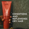 Aveda Nutriplenish Conditioner Deep Moisture Rich Superfood Conditioner for Dry to Very Dry Hair Organic Pomegranate Oil