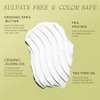 Ingreendients Tea Tree Hair Conditioner Organic SulfateFree ColorSafe SiliconeFree CrueltyFree with Shea Butter and Jojo