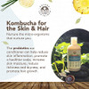 Nature Sustained Organic Fragrance Free Conditioner Gentle Unscented Natural Sensitive Skin Conditioner Raw Wildcrafted