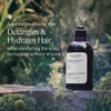 LOCCITANE Aromachologie Gentle Balance Conditioner 1690 floz