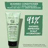 Bumble and bumble Seaweed Hydrating Conditioner For FinetoMedium Hair or Daily Washer Anti Frizz Color Safe Detangler St