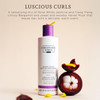 Christophe Robin Luscious Curl Cleansing Conditioner With Chia Seed Oil for Wavy to Softly Curled Hair 84 fl oz