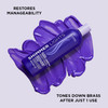 Clairol Professional Shimmer Lights Purple Conditioner 16 fl Oz Neutralizes Brass Yellow Tones For Blonde Silver Gray Hi