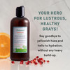 Just Nutritive Gray Hair Conditioner Gray Hair Treatment Just Natural Hair Care Natural Conditioner 16 Oz