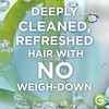 Garnier Whole Blends Coconut Water Aloe Vera Refreshing Conditioner for Normal Hair 266 Fl Oz 1 Count Packaging May Vary