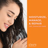 Cleure Hydrating Fragrance Free Conditioner Hypoallergenic SLS Free Paraben Free Unscented 12 Fl Oz Pack of 2