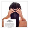 Zents Moisturizing Conditioner Color Safe and SulfateFree with Organic Shea Butter Jojoba Oil for All Hair Types 10 fl o
