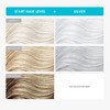 KERACOLOR Clenditioner SILVER Hair Dye Semi Permanent Hair Color Depositing Conditioner Crueltyfree 12 Fl Oz