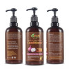 Bisha Herbals Red Onion Black Seed Oil CONDITIONER Nourishing and SulfateFree AntiFrizz and Smooth Hair