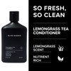 Blind Barber Lemongrass Tea Conditioner Daily SulfateFree Conditioner for Men Adds Body Shine Prevents Tangling Revitali
