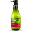 Olive Oil Moisturizing Hair Conditioner with Vitamin E Shea Butter and Oils of Argan Jojoba Seed and Wheat Germ for Dry