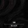 COLORCHARM Permanent Liquid Hair Color for Gray Coverage 1n Black 14 Fl Oz