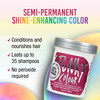 Punky Rose Red Semi Permanent Hair Color Vegan CrueltyFree Conditioning Hair Dye Lasts Up to 35 Washes 35 fl oz