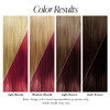 Adore Semi Permanent Hair Color 069 Wild Cherry Vegan CrueltyFree Red Hair Dye No Ammonia No Peroxide No Alcohol 4 Fl Oz