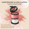 Instantly Hair Touch Up Powder SEVICH Hair Concealer for Thinning Hairline Eyebrows Beard Windproof Sweatproof Red Brown