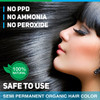 Vegetal Safe Hair Color Black 50gm Certified Organic Chemical and Allergy Free Bio Natural Hair Dye with No Ammonia Form