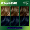Clairol Natural Instincts Bold Permanent Hair Dye BL28 Blue Black Colibri Hair Color Pack of 1