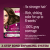 Schwarzkopf Keratin Permanent Hair Dye Cream 60 Delicate Praline Professional Quality Color for Up to 100 Gray Coverage
