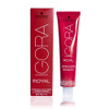 Schwarzkopf Professional Igora Royal Permanent Hair Color 568 Light Brown Chocolate Red 60 Gram
