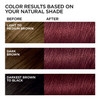 LOreal Paris Feria MultiFaceted Shimmering Permanent Hair Color 41 Crushed Garnet Rich Mahogany Pack of 1 Hair Dye