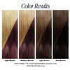 Adore Semi Permanent Hair Color 078 Rich Amber 2 Pack Vegan CrueltyFree Brown Hair Dye No Ammonia No Peroxide No Alcohol
