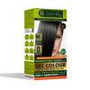 Indus Valley Damage Free Gel Hair Color Gray Coverage of Resistant Gray Hairs AmmoniaFree Vegan Hair Dye Long Lasting Co