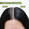 Indus Valley Damage Free Gel Hair Color Gray Coverage of Resistant Gray Hairs AmmoniaFree Vegan Hair Dye Long Lasting Co