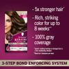 Schwarzkopf Keratin Permanent Hair Dye Cream 53 Berry Brown Professional Quality Color for Up to 100 Gray Coverage Bond