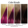 Adore Semi Permanent Hair Color 086 Raspberry Twist 2 Pack Vegan CrueltyFree Pink Hair Dye No Ammonia No Peroxide No Alc