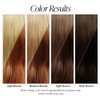 Adore Semi Permanent Hair Color 072 Paprika 2 Pack Vegan CrueltyFree Brown Hair Dye No Ammonia No Peroxide No Alcohol 4