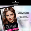 Schwarzkopf Color Ultime Hair Color Cream 528 Cocoa Red Packaging May Vary