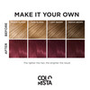 LOreal Paris Colorista Semi Permanent Hair Color for Brunettes Color Depositing Hair Mask Formula Maroon