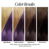 Adore Semi Permanent Hair Color 116 Purple Rage 2 Pack Vegan CrueltyFree Purple Hair Dye No Ammonia No Peroxide No Alcoh