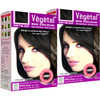 Vegetal Bio Hair Color Black 50g Pack of 2 Experience Black Hair Dye for Unisex AmmoniaFree PPDFree Organic Safe and Eff