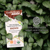 Cultivators Organic Hair Color Herbal AmmoniaFree Powder for Natural Hair Coloring for Women and Men Black 100g