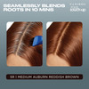 Clairol Root TouchUp by Nicen Easy Permanent Hair Dye 5R Medium AuburnReddish Brown Hair Color Pack of 2