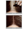 Cover Your Gray Hair Color TouchUp Stick Jet Black 6Pack
