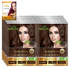 Herbishh Gray Hair Color Shampoo Natural Argan Mask for LongLasting Color in Minutes Travel Size 10 Pack 1 Pack AmmoniaF