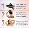 Herbishh Natural Hair Dye Shampoo with Argan Mask LongLasting Color for Gray Hair Travel Size 101 Pack AmmoniaFree Black